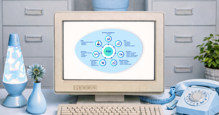 Structure of a PIM system, showcasing its importance.